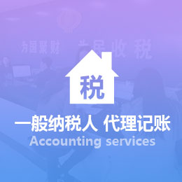 <b>一般納稅人 代理記賬</b>