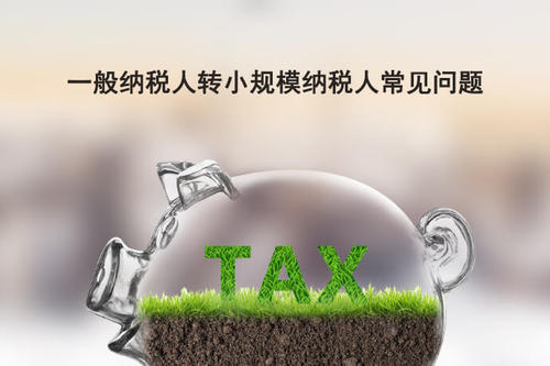12366熱點(diǎn)丨一般納稅人轉(zhuǎn)登記小規(guī)模納稅人有哪些相關(guān)規(guī)定或注意事項(xiàng)？